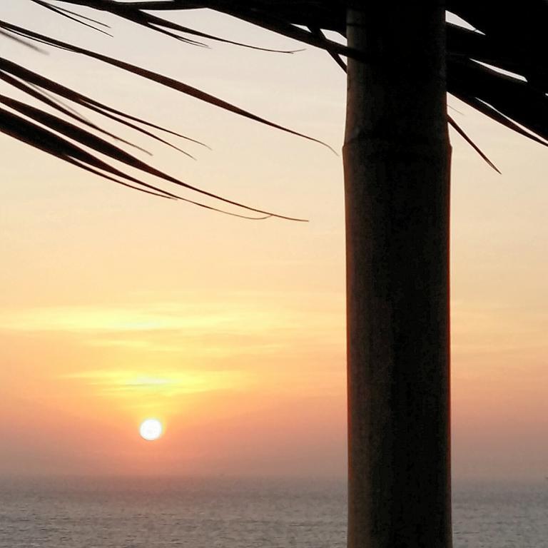 Lapa Lapa Lobitos Bungalows Hotell Exteriör bild