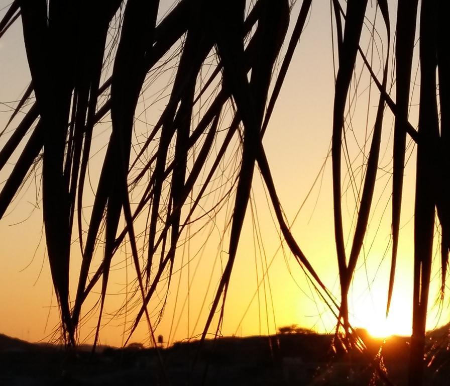 Lapa Lapa Lobitos Bungalows Hotell Exteriör bild