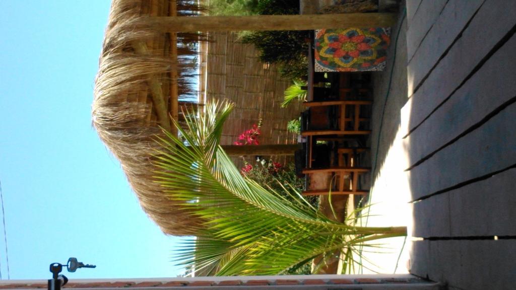 Lapa Lapa Lobitos Bungalows Hotell Exteriör bild