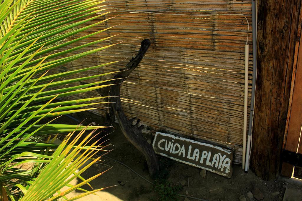 Lapa Lapa Lobitos Bungalows Hotell Exteriör bild