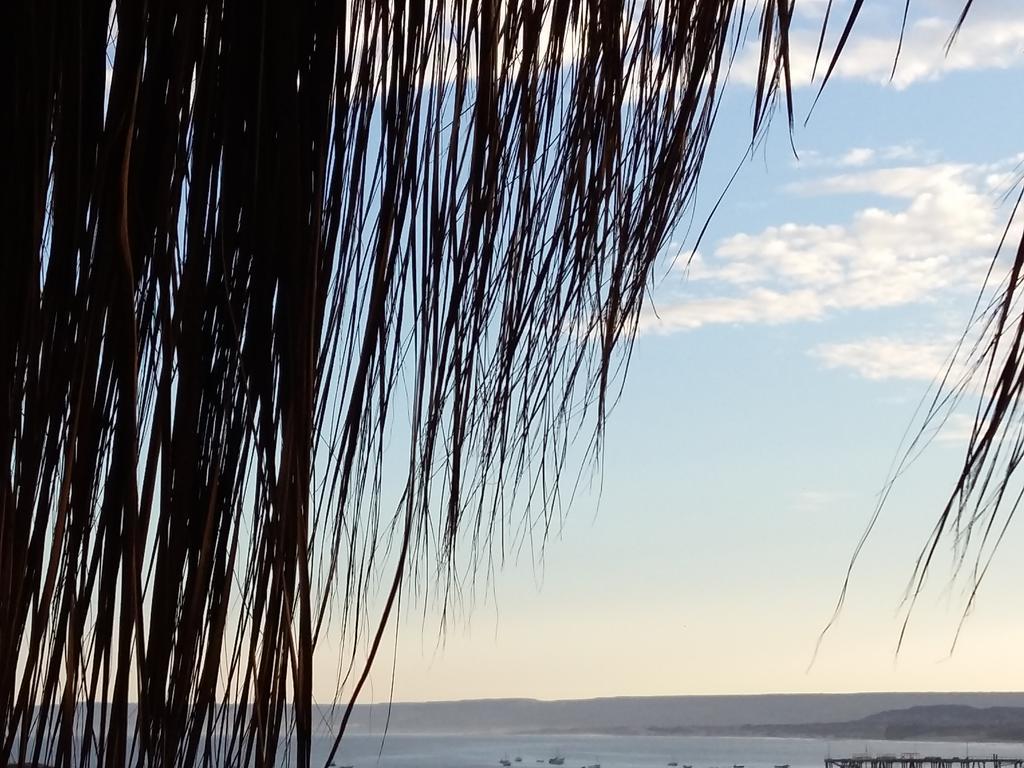 Lapa Lapa Lobitos Bungalows Hotell Exteriör bild