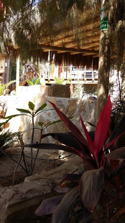 Lapa Lapa Lobitos Bungalows Hotell Exteriör bild