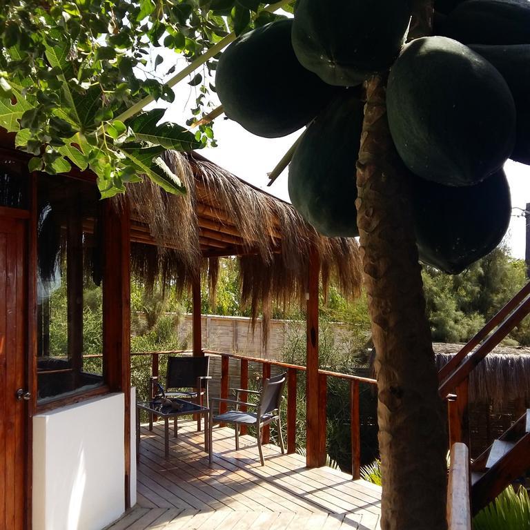 Lapa Lapa Lobitos Bungalows Hotell Exteriör bild
